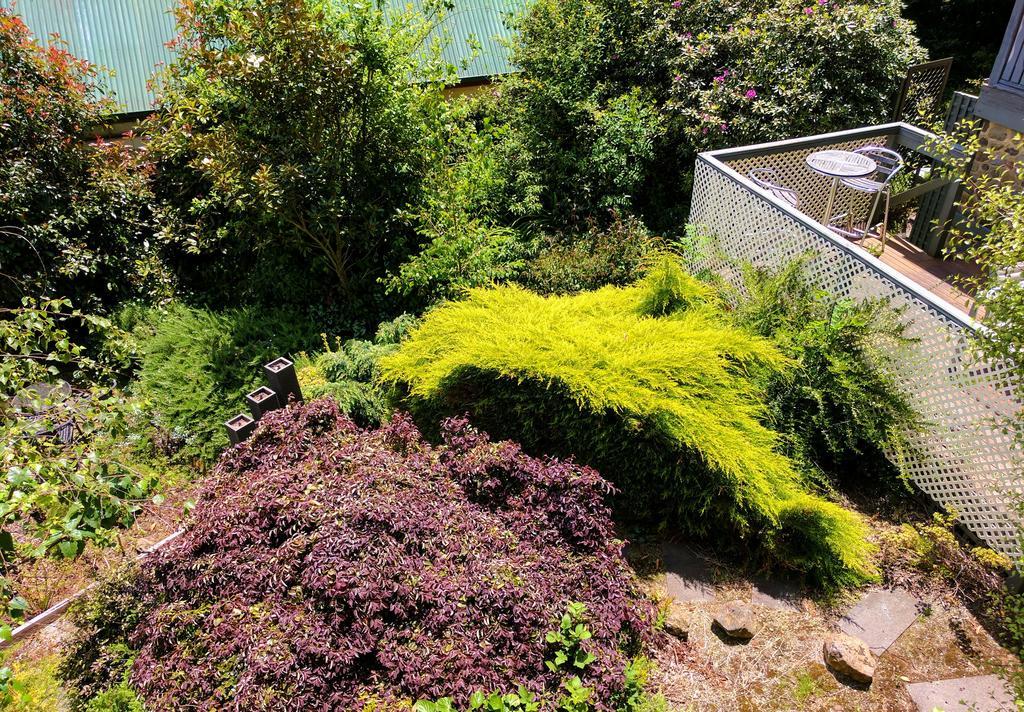 Annie Roes Luxury B&B Bend of Islands Bagian luar foto