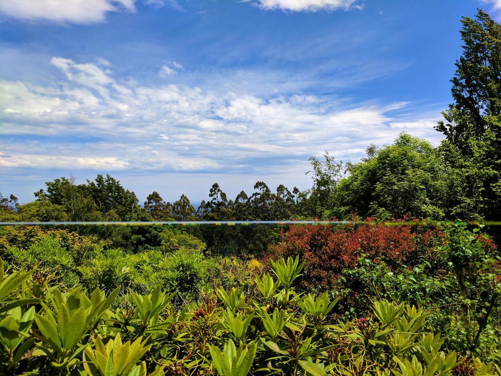 Annie Roes Luxury B&B Bend of Islands Bagian luar foto