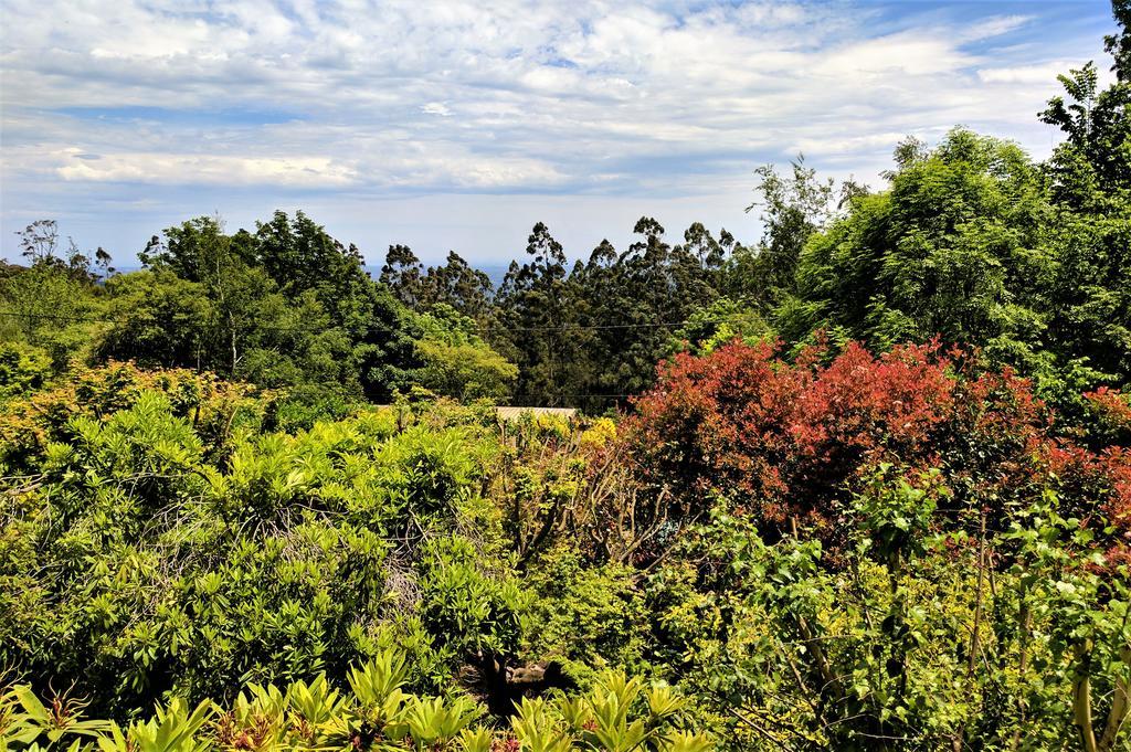 Annie Roes Luxury B&B Bend of Islands Bagian luar foto